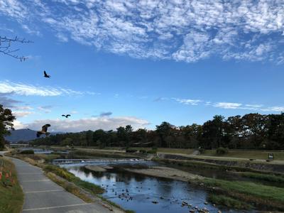 北大路橋からの風景